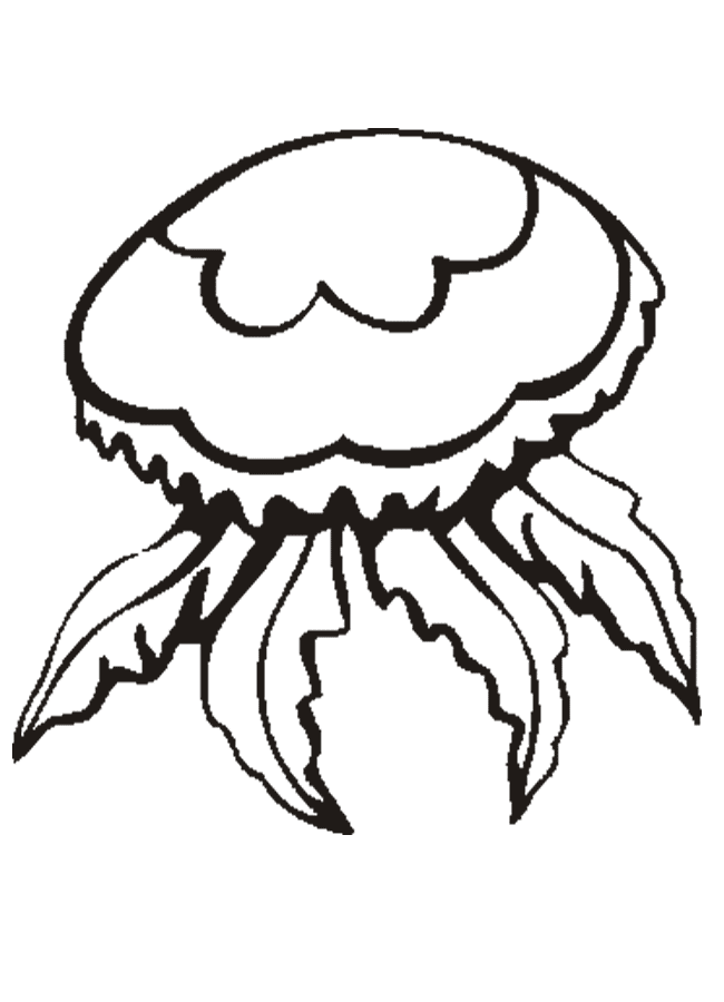 desene de colorat meduza